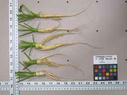 PI_279762_84ncai01_SD_RT_XX_2012-02-01_01.jpg