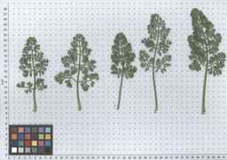 PI_279763_04ncai01_SD_PL_LV_2012-06-12_02.jpg