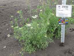 PI_279763_04ncai01_SD_PL_XX_2011-07-22_03.jpg