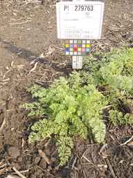 PI_279763_04ncai01_SD_PL_XX_2012-06-12_02.jpg