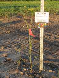 PI_279764_03ncai01_SD_PL_XX_2010-08-27_02.jpg