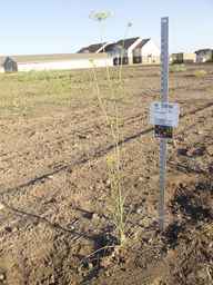 PI_279764_03ncai01_SD_PL_XX_2012-07-19_02.jpg