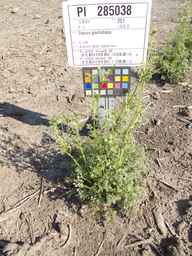 PI_285038_09ncai01_SD_PL_XX_2012-07-16_03.jpg