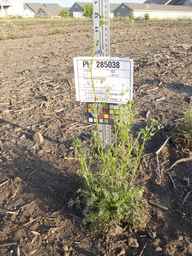 PI_285038_09ncai01_SD_PL_XX_2012-07-17_02.jpg