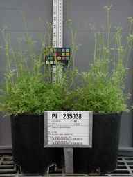 PI_285038_88ncpi01_SD_PL_XX_2009-06-04_01.jpg