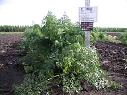 PI_285621_06ncei01_SD_PL_XX_2009-07-28_02.jpg