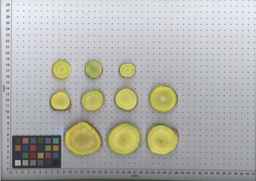 PI_285621_06ncei01_SD_RT_TS_2009-08-06_01.jpg