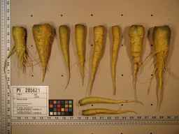 PI_285621_06ncei01_SD_RT_XX_2009-08-06_01.jpg