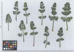 PI_286611_01ncai01_SD_PL_LV_2012-05-30_01.jpg