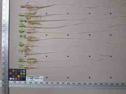 PI_295854_85ncei01_SD_RT_XX_2013-01-15_01.jpg