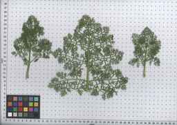 PI_295854_86ncei01_SD_PL_LV_2008-07-16_01.jpg