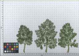 PI_295854_86ncei01_SD_PL_LV_2010-06-30_02.jpg