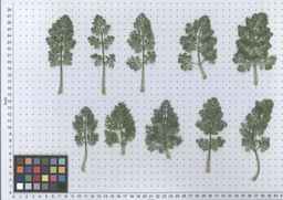 PI_295854_86ncei01_SD_PL_LV_2012-05-30_01.jpg