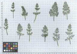 PI_295857_03ncai01_SD_PL_LV_2012-05-30_01.jpg