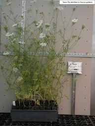 PI_295858_88ncpi01_SD_PL_XX_2003-03-18_01.jpg