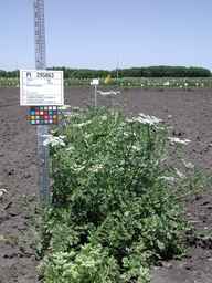 PI_295863_00ncai01_SD_PL_XX_2008-07-16_01.jpg