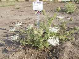 PI_295863_00ncai01_SD_PL_XX_2012-07-18_02.jpg