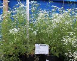 PI_351060_86ncao01_SD_02.JPG