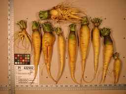 PI_432902_83ncai01_SD_RT_XX_2008-08-01_01.jpg