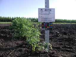 PI_451758_83ncai01_SD_PL_XX_2009-07-31_01.jpg