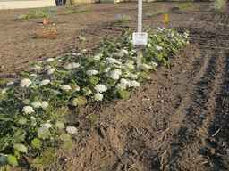 PI_478883_84ncai01_SD_PL_XX_2012-07-11_03.jpg