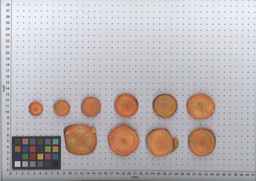 PI_502239_08ncei01_SD_RT_TS_2009-08-05_01.jpg