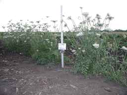 PI_502245_96ncab01_SD_PL_XX_2009-08-05_01.jpg
