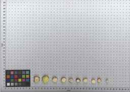 PI_502245_96ncab01_SD_RT_TS_2009-07-29_01.jpg