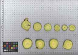 PI_502348_05ncab01_SD_RT_TS_2009-07-30_01.jpg