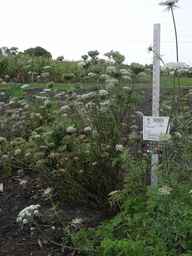 PI_502655_05ncab01_SD_PL_XX_2009-08-25_01.jpg