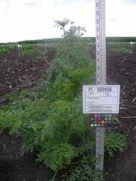 PI_502656_96ncab01_SD_PL_XX_2009-07-23_02.jpg