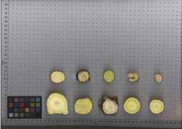 PI_502656_96ncab01_SD_RT_TS_2009-07-30_01.jpg