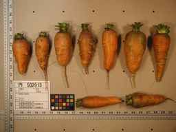 PI_502913_96ncab01_SD_RT_XX_2009-08-04_02.jpg