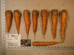 PI_502914_05ncai01_SD_RT_XX_2009-08-06_02.jpg