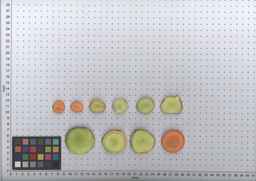 PI_502915_96ncab01_SD_RT_TS_2009-08-06_01.jpg