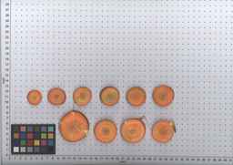 PI_502917_97ncei01_SD_RT_TS_2009-08-06_01.jpg