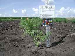 PI_502918_05ncai01_SD_PL_XX_2009-07-23_02.jpg