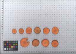 PI_502919_99ncei01_SD_RT_TS_2009-08-06_01.jpg