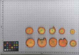 PI_502920_92ncab01_SD_RT_TS_2009-08-04_01.jpg