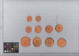 PI_503342_92ncab01_SD_RT_TS_2009-08-13_01.jpg