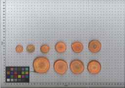 PI_503343_92ncab01_SD_RT_TS_2009-08-13_01.jpg
