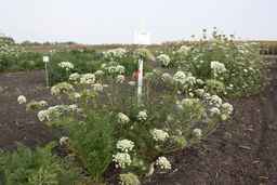 PI_503344_92ncab01_SD_PL_XX_2009-09-11_01.jpg