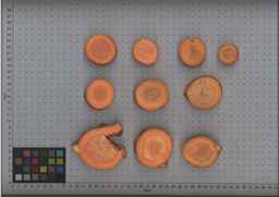 PI_503344_92ncab01_SD_RT_TS_2009-08-13_01.jpg