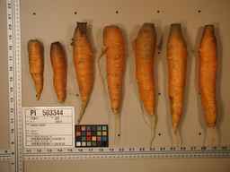 PI_503344_92ncab01_SD_RT_XX_2009-08-11_02.jpg