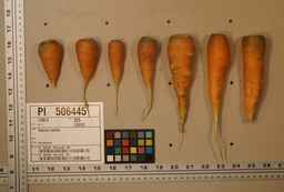 PI_506445_89ncai01_SD_RT_XX_2009-08-11_03.jpg