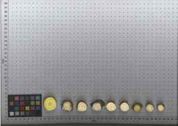 PI_515991_97ncei01_SD_RT_TS_2009-07-29_01.jpg