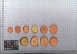 PI_515992_08ncei01_SD_RT_TS_2009-08-06_01.jpg