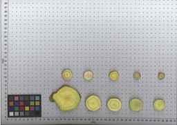 PI_515996_94ncai01_SD_RT_TS_2009-07-30_01.jpg