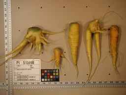 PI_515998_97ncei01_SD_RT_XX_2009-08-11_02.jpg