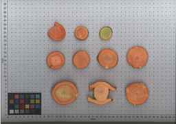PI_515999_97ncei01_SD_RT_TS_2009-08-13_01.jpg